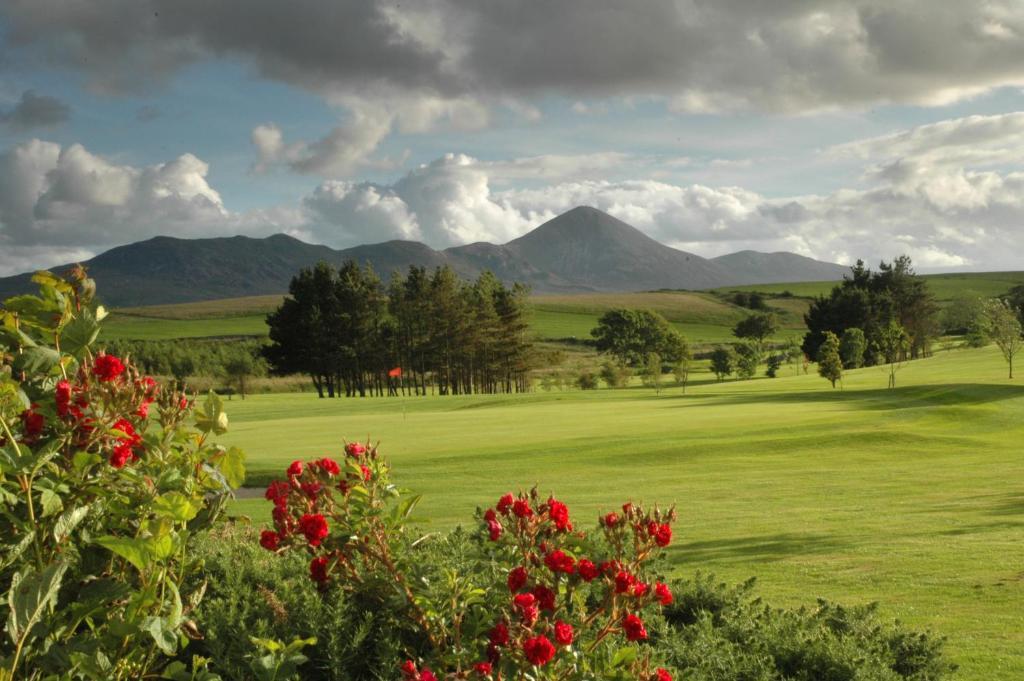 Quay West Ireland Bed & Breakfast Westport Rom bilde