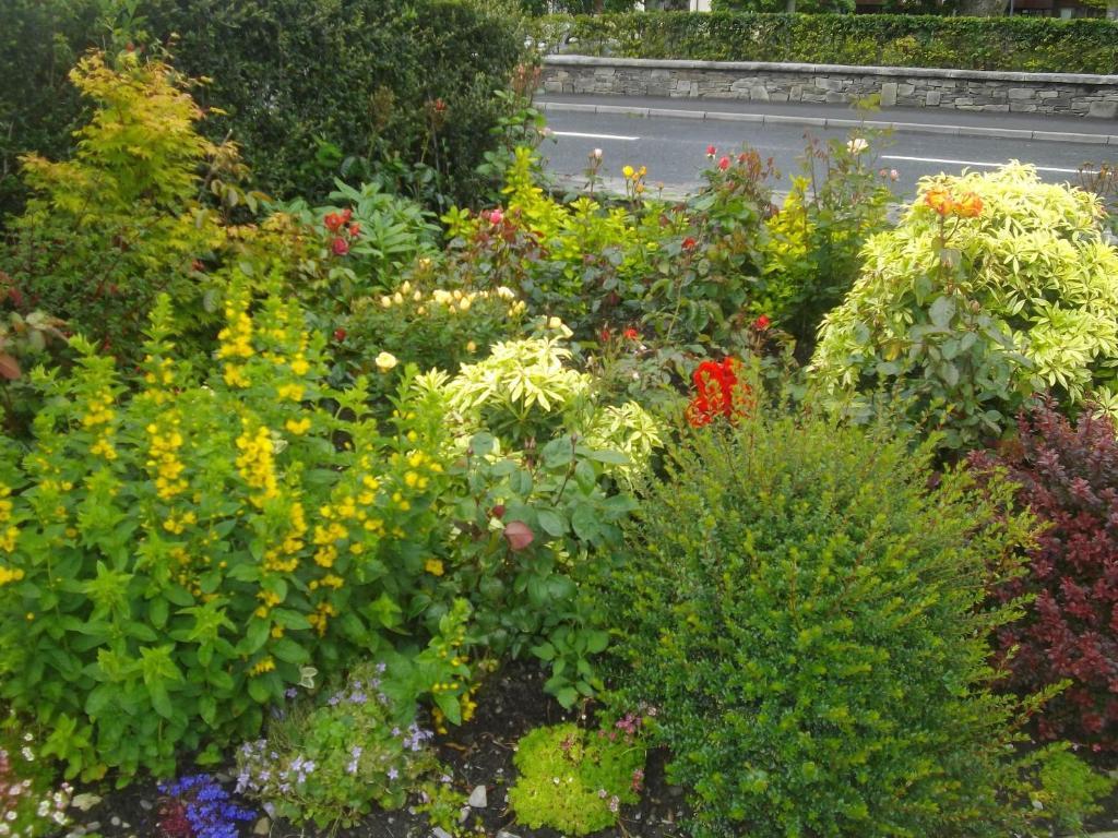 Quay West Ireland Bed & Breakfast Westport Eksteriør bilde