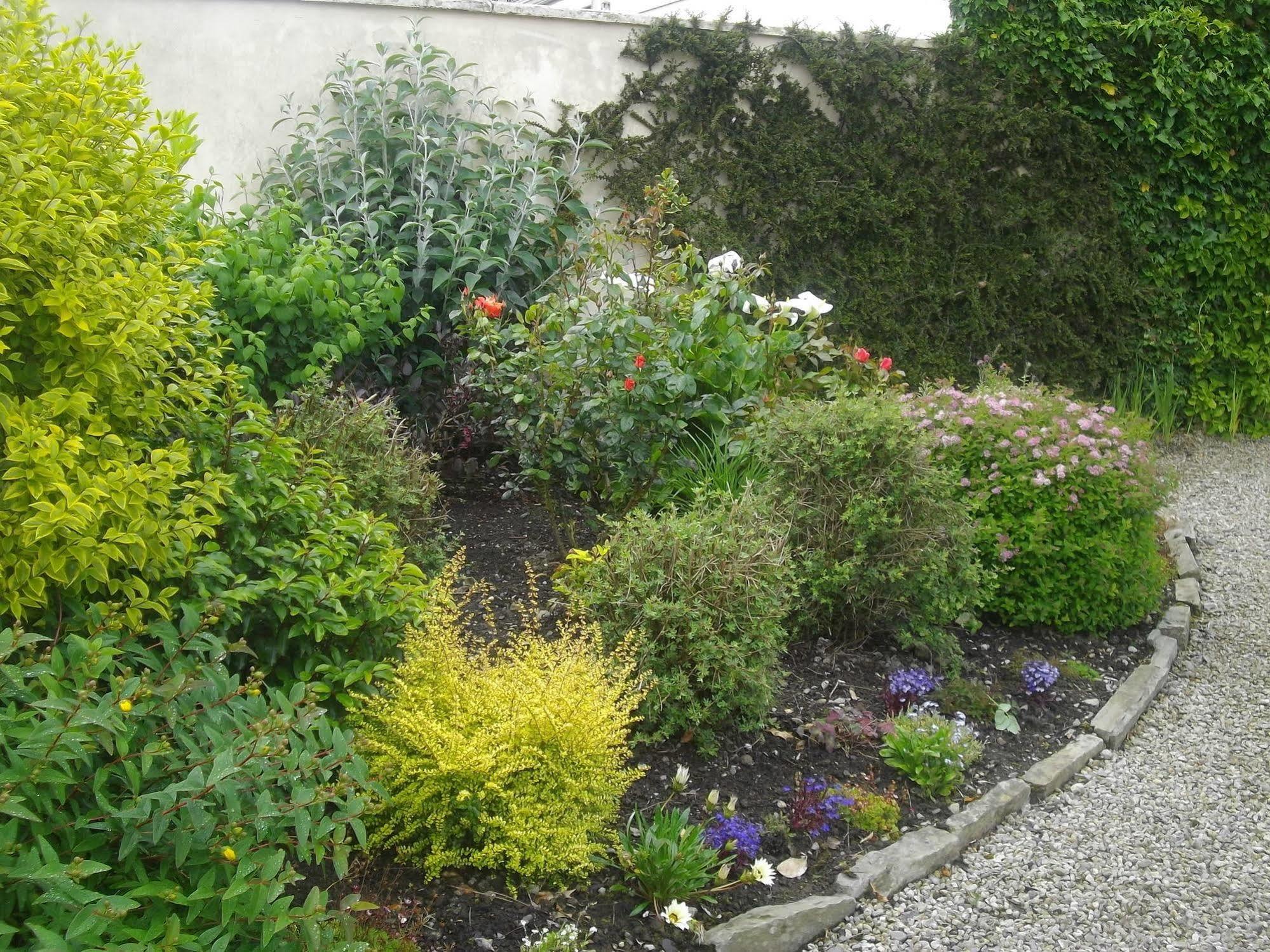 Quay West Ireland Bed & Breakfast Westport Eksteriør bilde